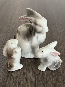 Japan Rabbit | eBay