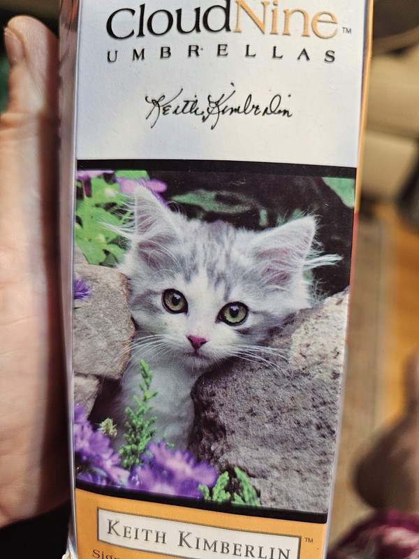 CloudNine Umbrellas  Folding Keith KIMBERLIN Kitten