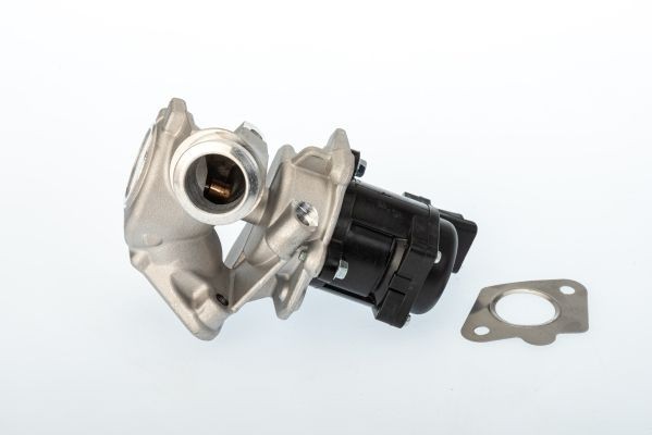 BorgWarner Agr-Ventil 711020D FüR Ford Mazda Mini Volvo-image