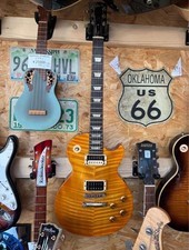 Gibson Gary Moore Signature Les Paul Standard Used Electric Guitar