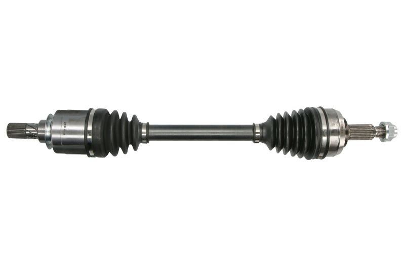 Picture 1