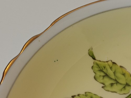 PARAGON Double Warrant  Bone China Teacup Saucer England Floating Dogwood Yellow - Picture 4 of 9