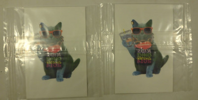 Lot of 2 Nickelodeon Temporary Tattoos 2014 Kids Choice Awards Cat Capri Sun New