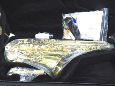 Yanagisawa A-WO1 Alto Saxophone A WO1 with Case NEW