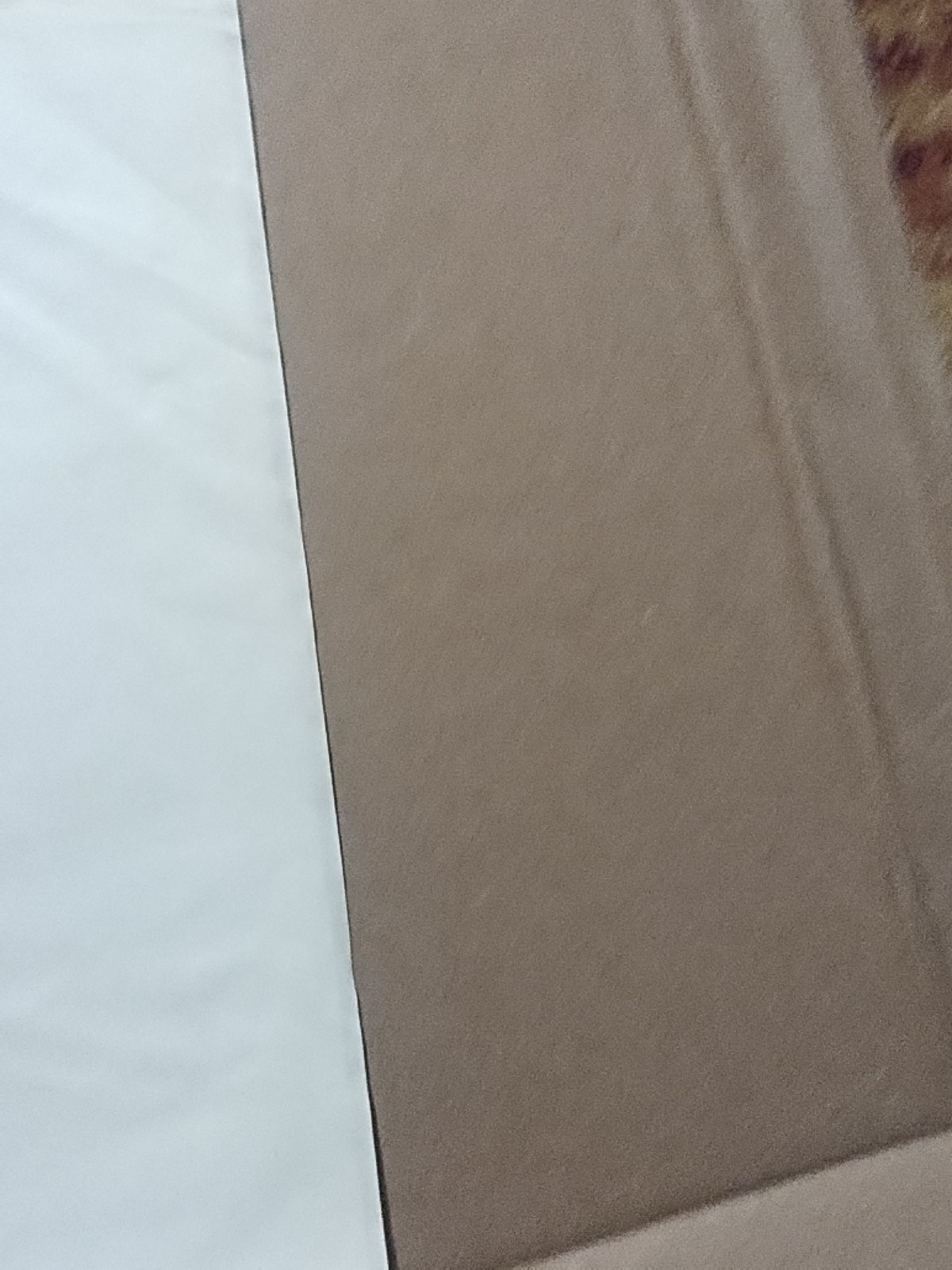 Picture 11 of 13