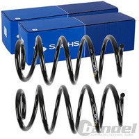 2X Sachs Fahrwerksfedern Satz Vorne Passend FÜR VW CC Passat Links+Rechts | 993