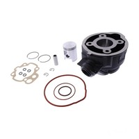 Zylindersatz Standard Grauguss FüR Suzuki AY 50 WR LC Katana Bj. 1998-2002