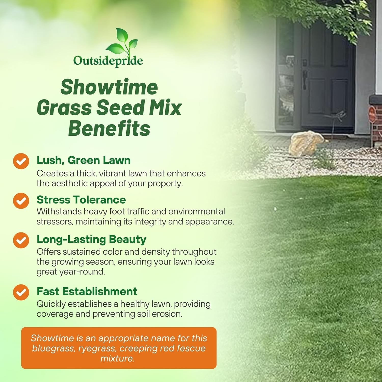 50 LBS - OptiGrowth Coated Showtime grass seed mix of fine fescue, Kentucky