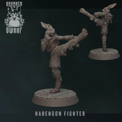Harengon Fighter | Harengon & Loxodons | Fantasy Miniature | Drunken Dwarf