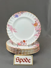 6 Spode CHELSEA GARDEN 8” Salad Plates: MINT