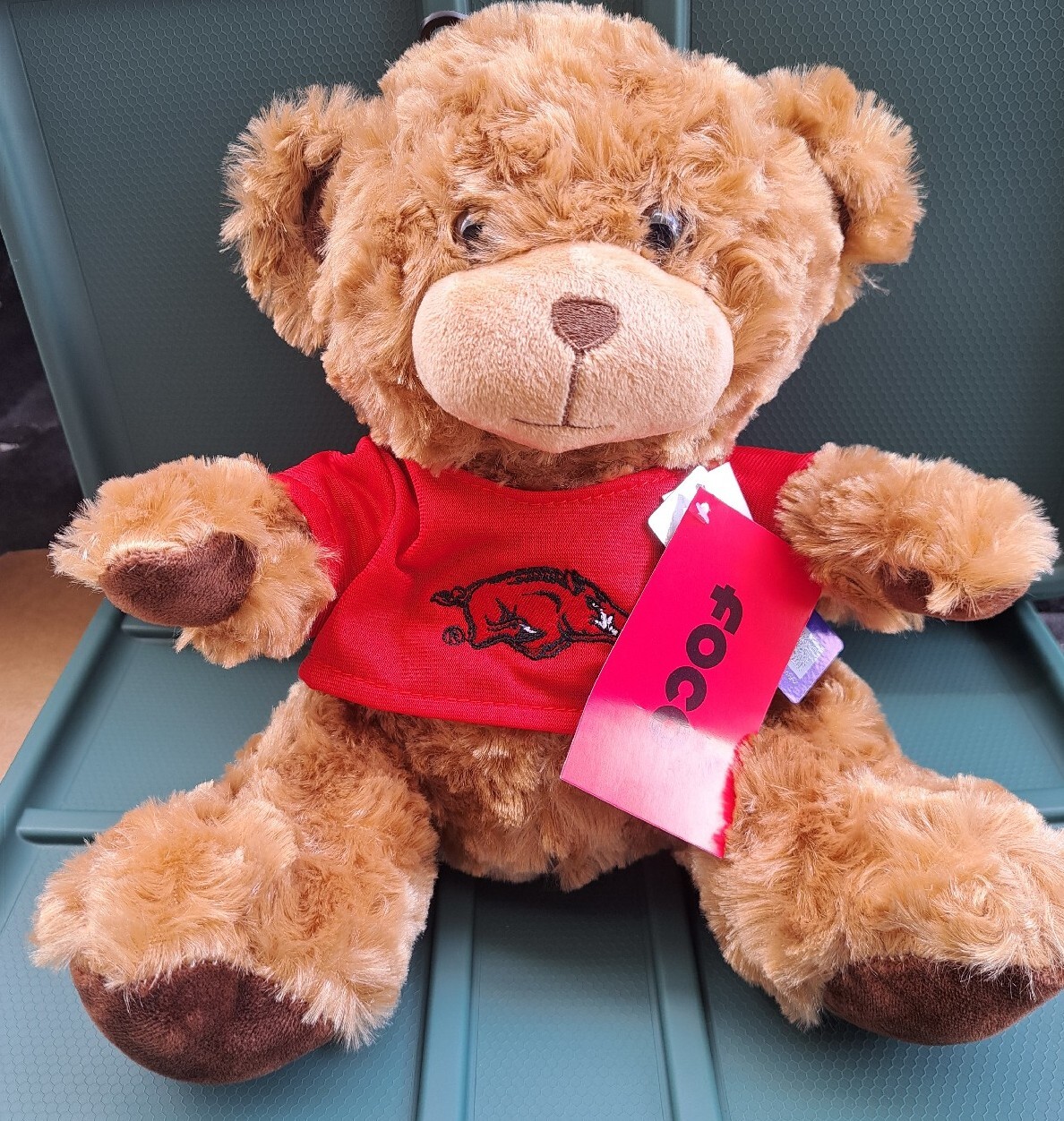 Stuffed Razorback NEW Foco NCAA University of Arkansas Razorbacks Logo Stuffed Animal | eBay