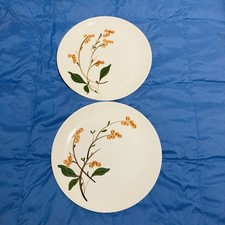 2pcs Vintage Blue Ridge Pottery Bittersweet Orange Pattern 9-1/2” Dinner Plates