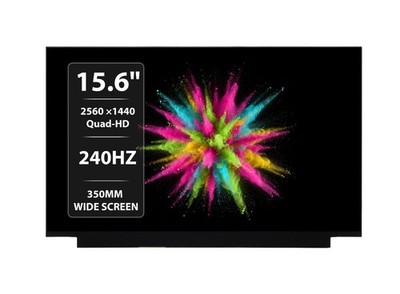 15,6'' QHD 240Hz IPS 40Pin LCD Dell Alienware M15 R5 R6 X15