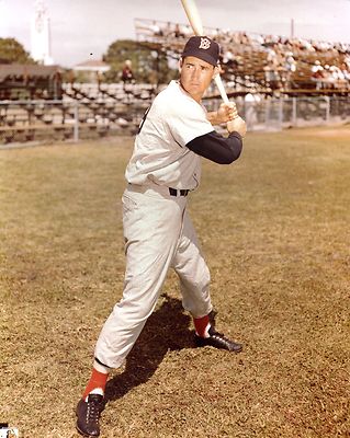 ted williams batting