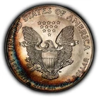 2001 1 oz Silver American Eagle - PQ Rainbow Rim Toning - BU - SKU-E3500