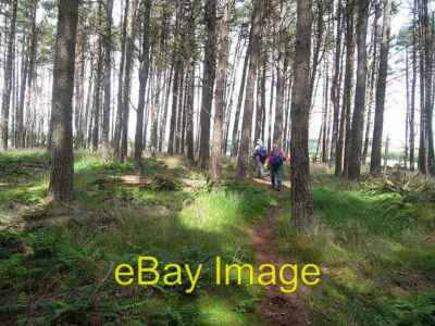 Photo 6x4 St Oswald's Way north of Fallowlees St Oswald's Way north of Fa c2009