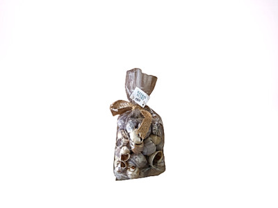 Dekorationsmuscheln Home Accents