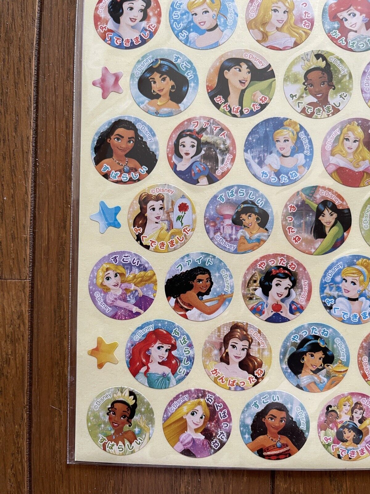 Japan Disney Name Tag Sticker - Princess Gathering B