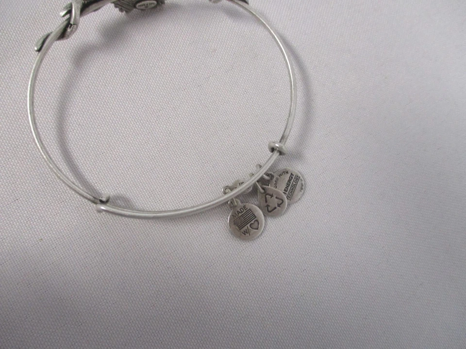 PULSERA BRAZALETE PLUMAS HOJA HELECHO PLATA ALEX & ANI Foto 3 de 3