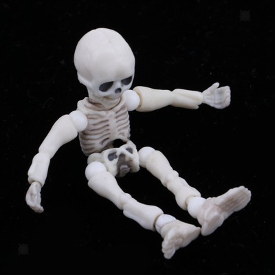 mini skeleton toy