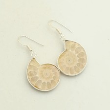 Ammonite Fossil Gemstone Handmade Drop Dangle Earrings Jewelry Gift 2