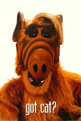ALF GOT CAT POSTER