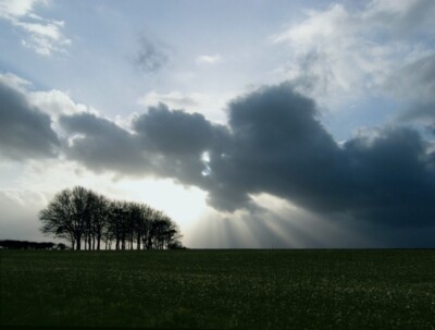 Foto 6x4 Baumklumpen mit Sonnenstrahlen unter den Wolken Ashmore\/ST9117 c2008