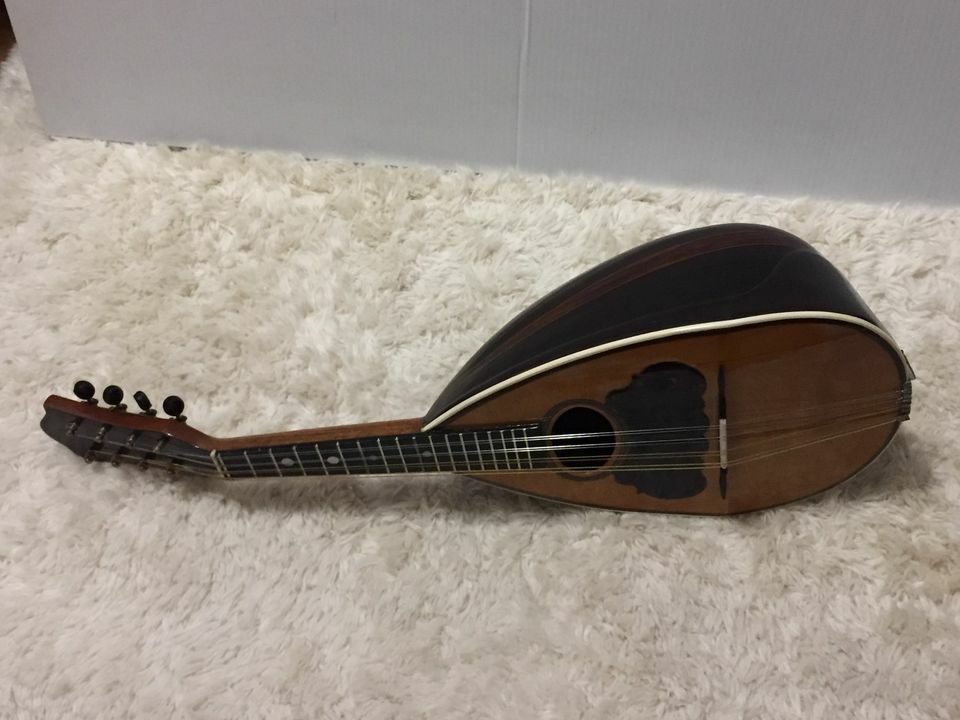 Early 1900's Victoria mandolin eBay