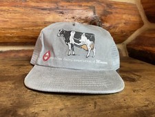 Vintage American Dairy Assn Of MN Hat - Rare