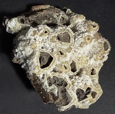 Fluorescent Calcite Stalactite La Ojuela Mexico SW LW UV Cave Formation Specimen