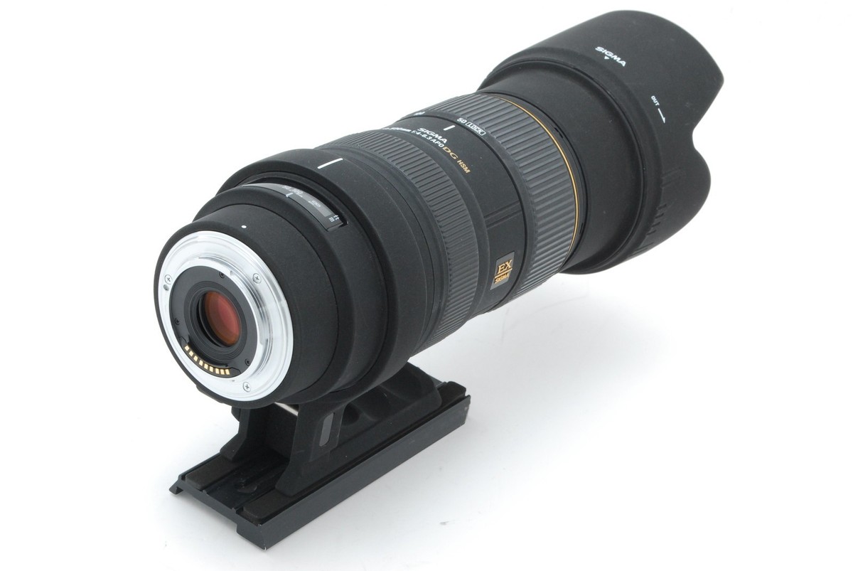 NEAR MINT] SIGMA APO 50-500mm F4-6.3 EX DG HSM for Olympus Four