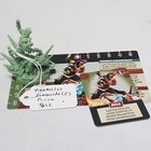 Zombicide Marvel Zombies Nova (Z)Mini Kickstarter Exclusive HK0415/25