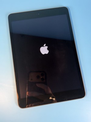 Apple iPad mini 2 16GB 7.9in Wi Fi Gray Touch Screen Tablet A1489