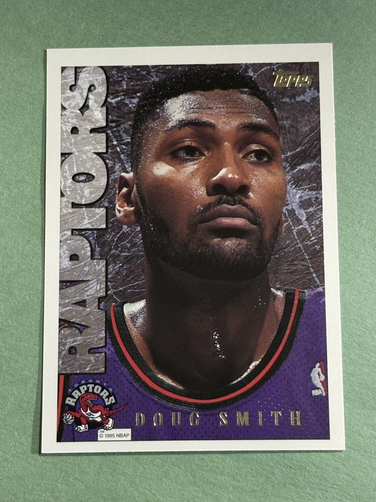 Doug Smith 1995-96 Topps Toronto Raptors #173 II108