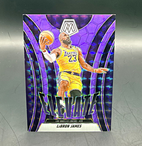 LeBron James [Purple Fluorescent] #13 2024 Panini Mosaic Elevate card