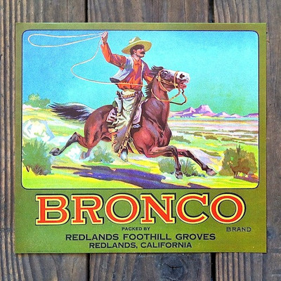 Vintage Original 1920s BRONCO Orange Fruit Citrus CRATE BOX LABEL Cowboy Horse