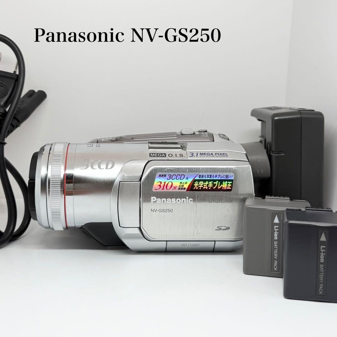 Panasonic NV-GS250 Camcorder miniDV Digital Video Camera 3CCD Mini