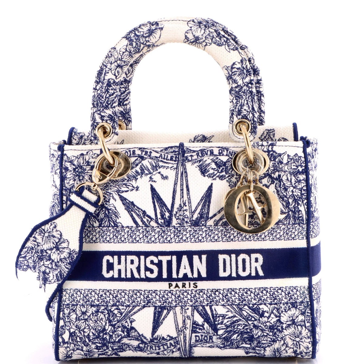 Christian Dior Lady D-Lite Bag Embroidered Canvas Medium | eBay