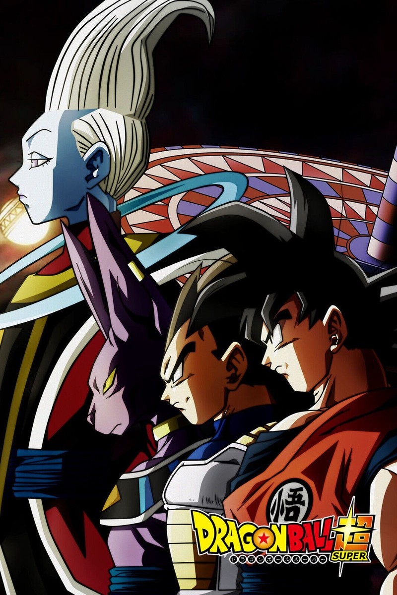 Dragon Ball Super Goku Vegeta Beerus Survival POSTER 24 X 18