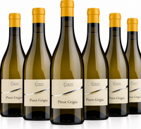 Pinot Grigio 2025 / Cantina Andrian / 6 Flaschen á 0,75 L / 26500425