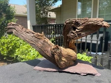 MOUNTED MOPANI WOOD AQUARIUMS FISH RIPTILES DECORATION PET SUPPLIES ART GARDEN