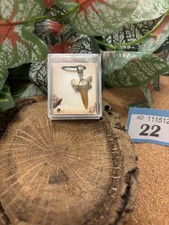 Genuine Fossil Sand Tiger Shark Tooth Pendant on Wax Cord Necklace