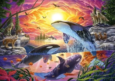 Puzzle (4000 T.) Killerwal und Wölfe im Sonnenuntergang (Educa) NEU/OVP