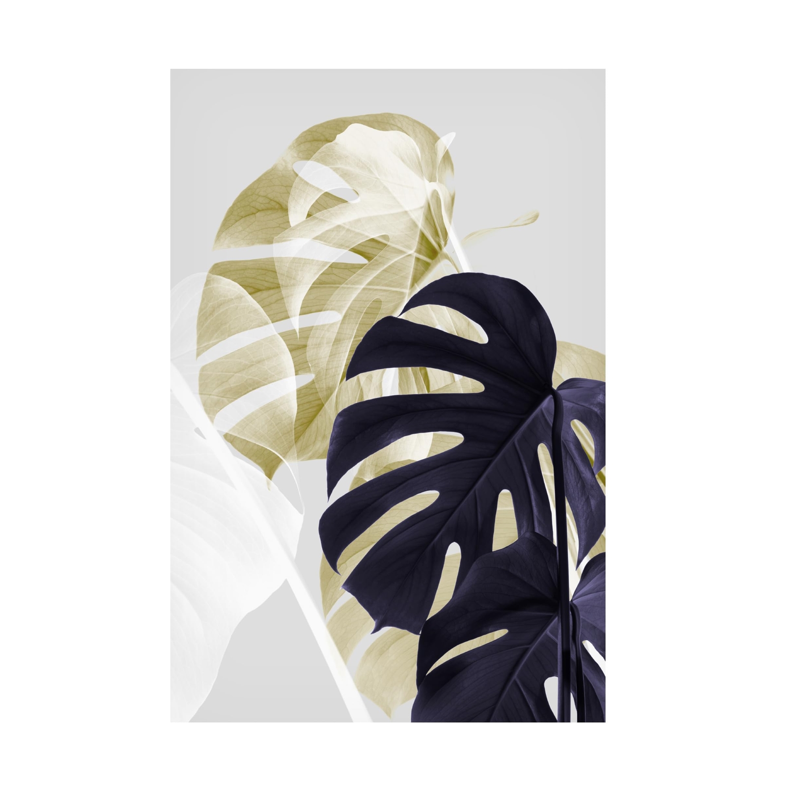 Canvas Wall Art - Pictufy Studio 'Monstera Creative 06' Wall Art for Living R...