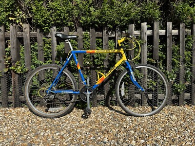 RALEIGH MOUNTAIN BIKE TEAM BICYCLE BIKE 26