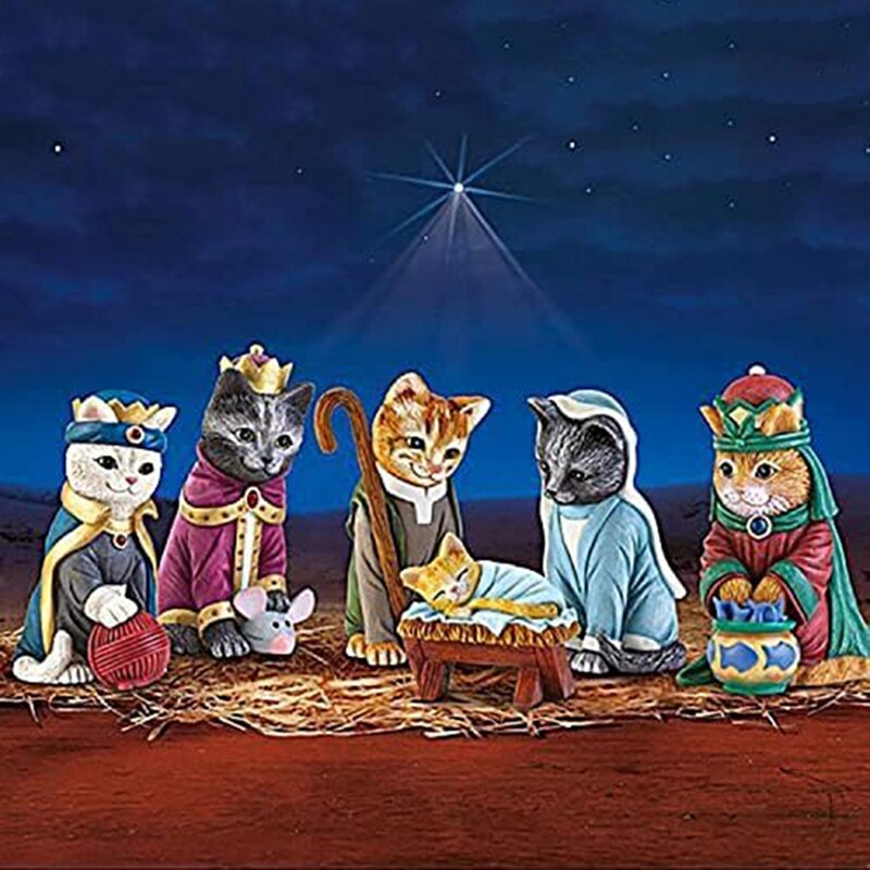 KatzenKrippe für Den Innenbereich, KatzenKrippe, KatzenSzene, Katzen