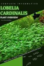 Lobelia cardinalis: From Novice to Expert. Comprehensive Aquarium Plants Guide b