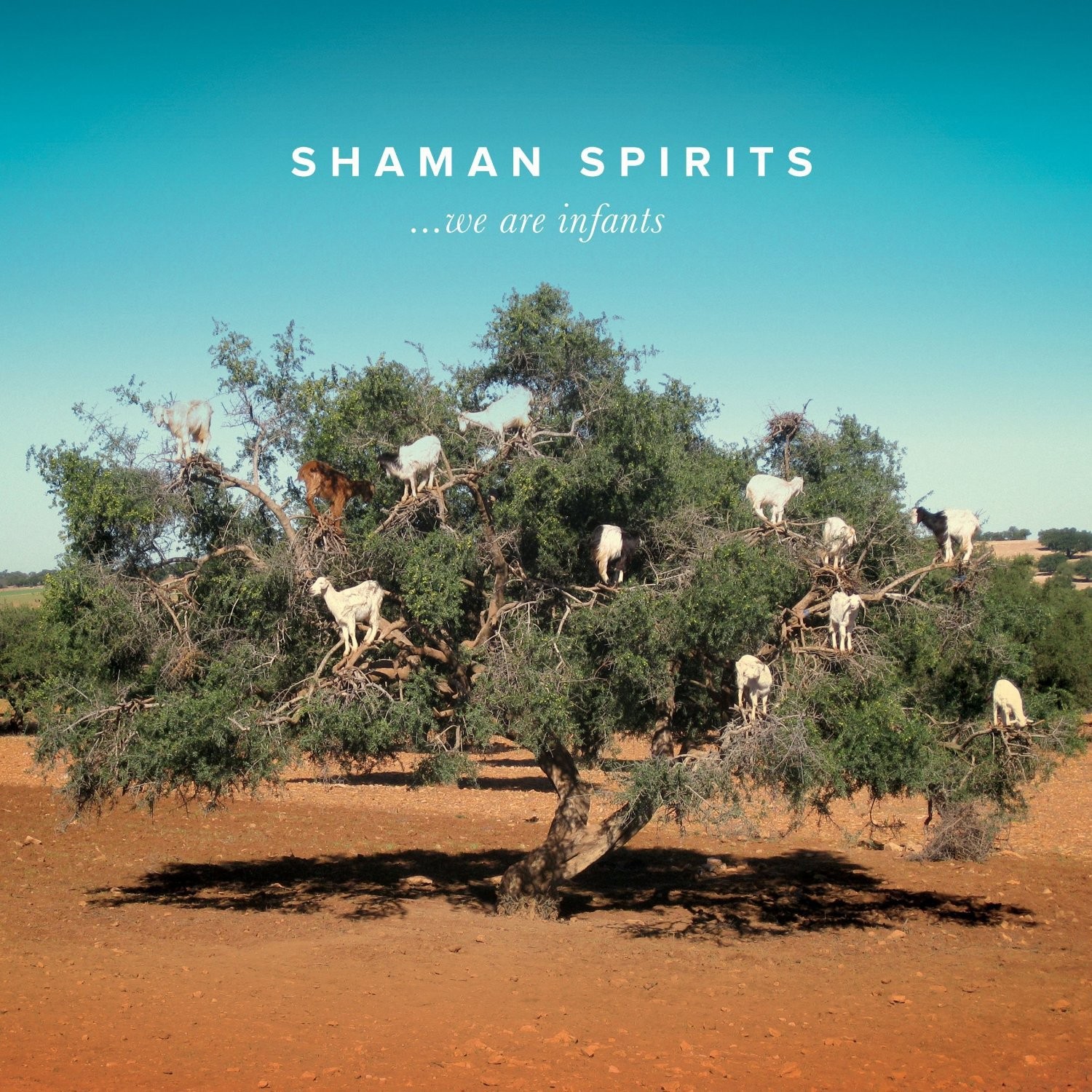 Shaman Spirits We Are Infants CD NEW