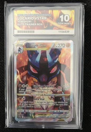 Lucario VStar SWSH291 - ACE 10