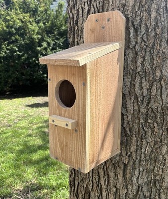 Large Cedar Owl Nesting Box House Screech Saw Whet Owl WITH PREDITOR GUARD